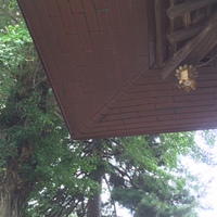 長野 (19).JPG